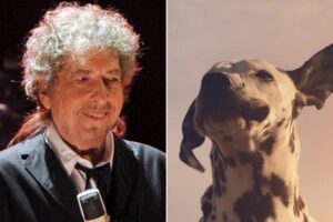 bob dylan super bowl