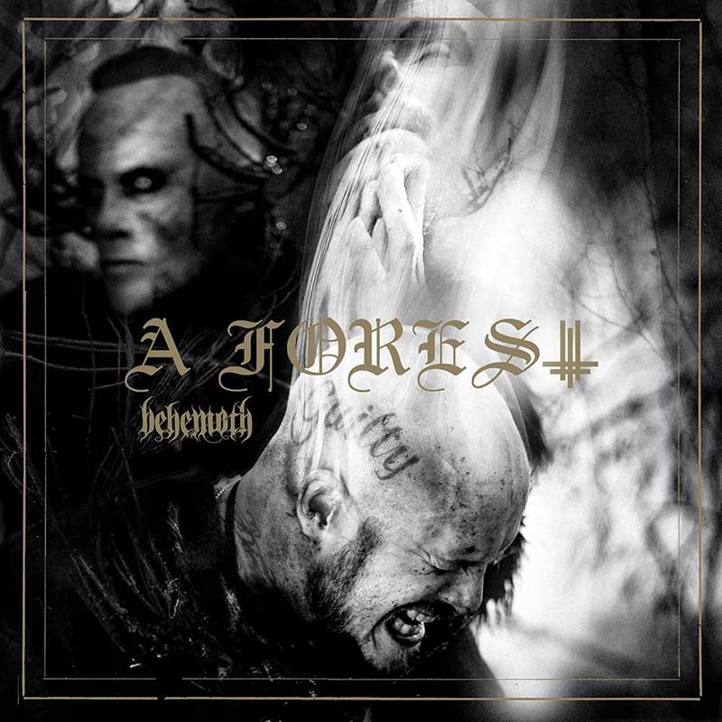 behemoth a forest the cure